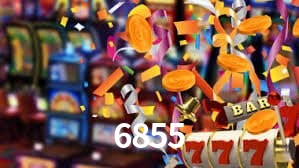 Premium Interface 6855